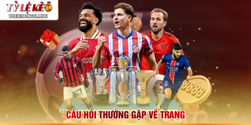 Câu hỏi thường gặp về trang