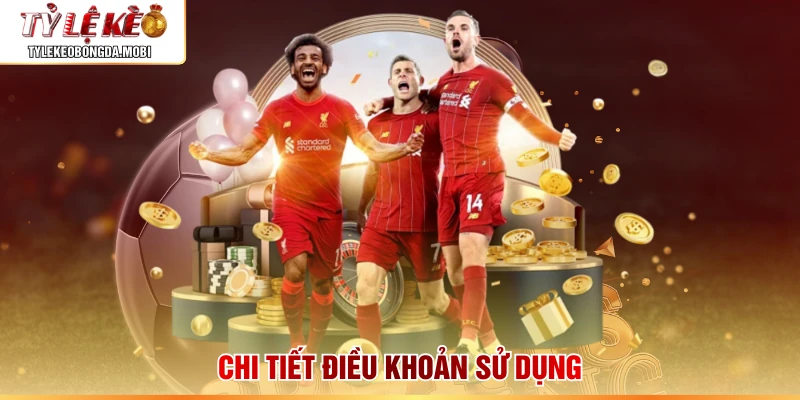 Chi tiết điều khoản sử dụng