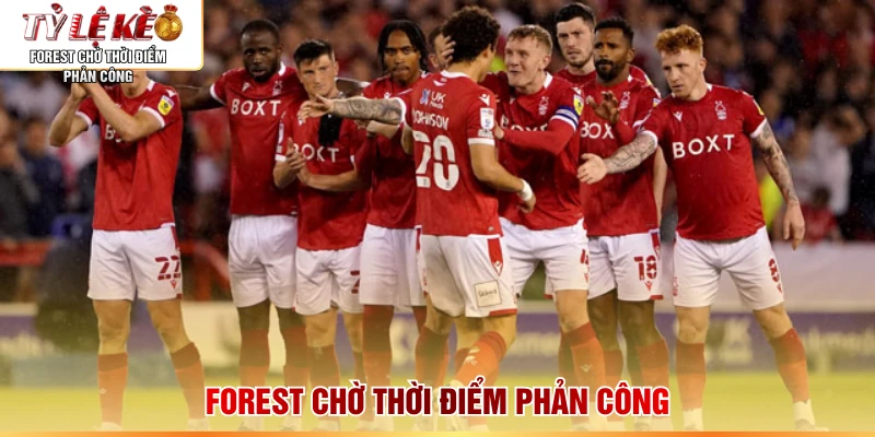 Forest chờ thời điểm phản công