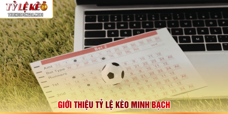 Giới thiệu tỷ lệ kèo minh bạch