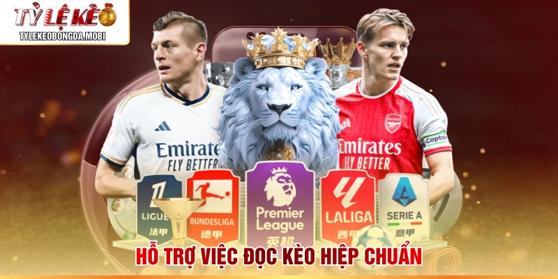 Hỗ trợ việc đọc kèo hiệp chuẩn
