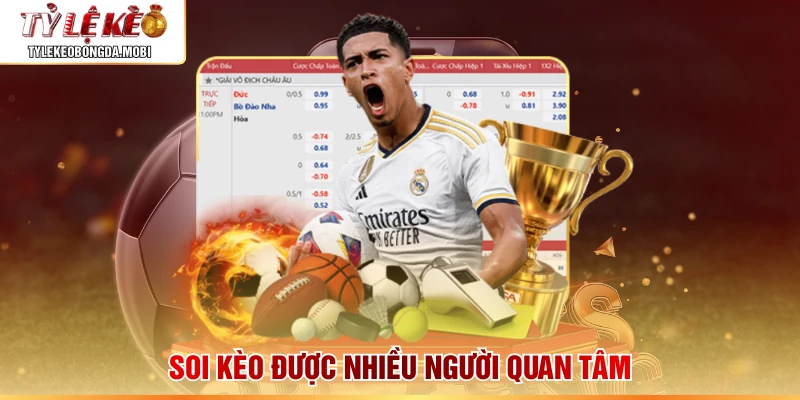 Soi kèo được nhiều người quan tâm