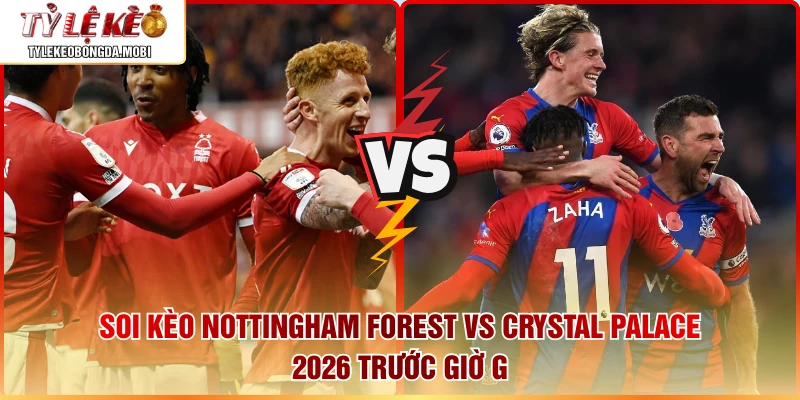 Soi Kèo Nottingham Forest vs Crystal Palace 2026 Trước Giờ G 