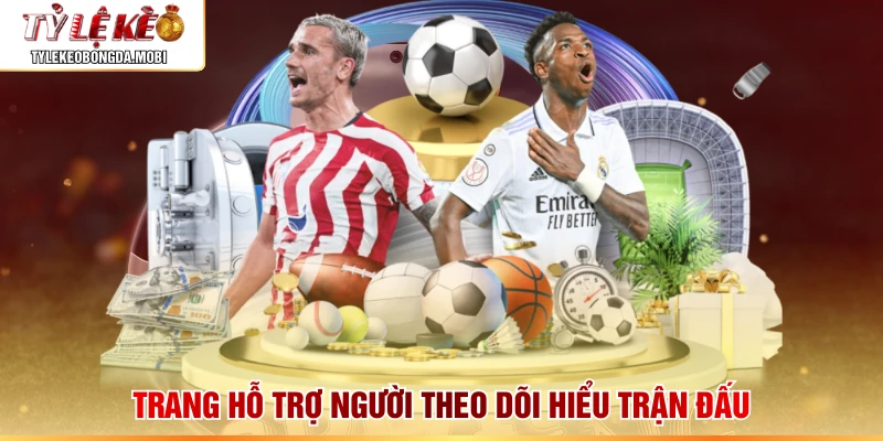 Trang hỗ trợ người theo dõi hiểu trận đấu