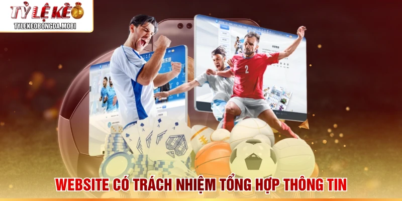 Website có trách nhiệm tổng hợp thông tin